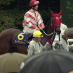 トライアルレースで輝いた馬