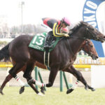 【競馬予想】[2]第84回桜花賞(GⅠ) /2024