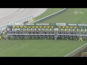 2024 OSAKA HAI (G1) | JRA Official