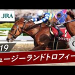 2019年 ニュージーランドトロフィー(GⅡ) | ワイドファラオ | JRA公式