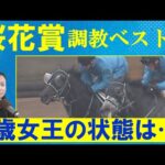 【レベルの高い混戦!】注目のヒロイン候補が激突!無敗のアスコリピチェーノは?リベンジをン狙うあの馬もランクイン!競馬エイト・高橋賢司トラックマンの調教解説<桜花賞(GⅠ)>