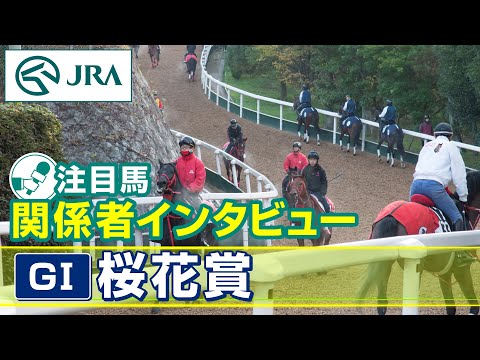 【注目馬 関係者インタビュー】2024年 桜花賞｜JRA公式
