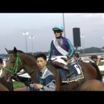 アタック!地方競馬|第262回|イグナイター in ドバイ|NAR公式