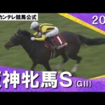 2024年 阪神牝馬ステークス(GⅡ)マスクトディーヴァ 実況:川島壮雄【カンテレ公式】