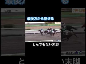 最後方からとんでもない末脚を魅せる