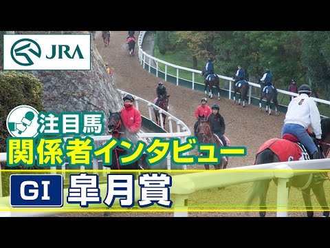 【注目馬 関係者インタビュー】2024年 皐月賞｜JRA公式