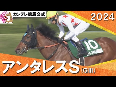 2024年 アンタレスステークス(ＧⅢ)ミッキーヌチバナ　実況：石田一洋【カンテレ公式】