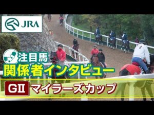 【注目馬 関係者インタビュー】2024年 マイラーズカップ｜JRA公式