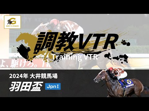 調教VTR｜2024年 羽田盃 JpnI｜NAR公式