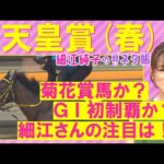 「さらにもう一段階上がっている!」テーオーロイヤル、ドゥレッツァ、タスティエーラ・・・天皇賞(春)GⅠを元ジョッキーの細江純子さんが徹底解説!<細江純子のネタ帳>