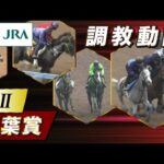 【調教動画】2024年 青葉賞|JRA公式