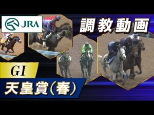 【調教動画】2024年 天皇賞(春)|JRA公式