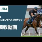 【調教動画(馬番順)】2024年 クイーンエリザベスⅡ世カップ(G1) | JRA公式