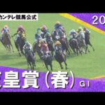 2024年 天皇賞(春)GⅠ 実況:川島壮雄【カンテレ公式】