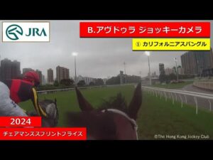 【ジョッキーカメラ】カリフォルニアスパングル騎乗のB.アヴドゥラ騎手ジョッキーカメラ映像| 2024年チェアマンズスプリントプライズ | JRA公式