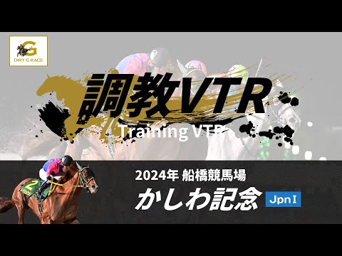 調教VTR｜2024年 かしわ記念 JpnI｜NAR公式