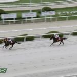 【兵庫チャンピオンシップ2024】結果・動画/エートラックスが人気に応え圧勝