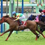 【ニュージーランドT】エコロブルームが差し切り重賞初制覇!ボンドガールは2着