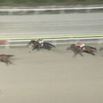 【東京スプリント2024】結果・動画/ジャスティンが抜け出し快勝