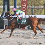 【競馬予想】第73回 川崎記念(JpnI) / 4月3日発走 20:10