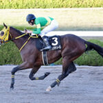 ウシュバテソーロが中央競馬場から逃げる理由