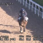 【アンタレスステークス2024】追い切り/動きからレースを紐解く