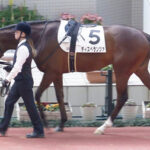 【競馬予想】第33回アーリントンカップ(GⅢ) / 2024