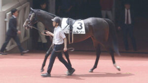 【競馬予想】第29回ユニコーンステークス(GⅢ) /2024