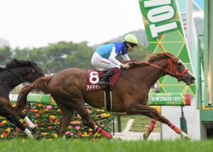 スワーヴリチャード第三の矢