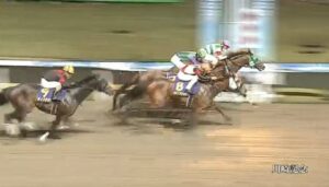 【競馬】川崎記念は吉原騎乗のライトウォーリアがＶ