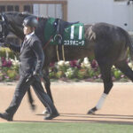 【競馬予想】第21回福島牝馬ステークス(GⅢ) /2024
