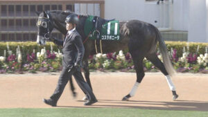 【競馬予想】第21回福島牝馬ステークス(GⅢ) /2024