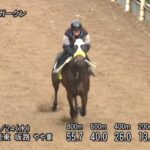 【青葉賞2024】追い切り/動きを見極め勝利に近づけ