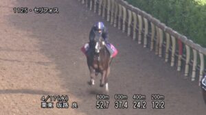 【マイラーズカップ2024】追い切り/動きを見極め勝利に近づけ