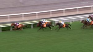 【チャンピオンズマイル2024】結果・動画/ビューティーエターナルが逃げ切る