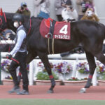 【中山グランドジャンプ】1.1倍マイネルグロン銀行破綻wwwwwwww