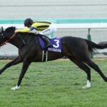 ジャンタルマンタルは引き続き川田でNHKマイルC