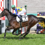 【競馬予想】第31回青葉賞(GⅡ) /2024
