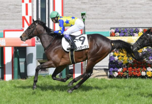 【競馬予想】第31回青葉賞(GⅡ) /2024