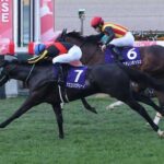 【競馬予想】[1]第84回桜花賞(GⅠ) /2024