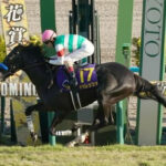 菊花賞馬ドゥレッツァが凱旋門賞への登録を検討