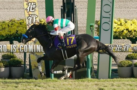 菊花賞馬ドゥレッツァが凱旋門賞への登録を検討