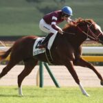 【競馬予想】[2]第84回皐月賞(GⅠ) /2024