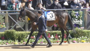 【青葉賞】へデントール弱すぎワロタｗｗｗｗｗ