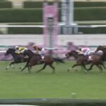 【競馬】阪神牝馬Sはモレイラ騎乗のマスクトディーヴァがV
