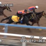 【福島牝馬ステークス2024】追い切り/抜群の動きを見せたのは