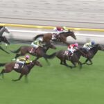 【青葉賞2024】結果・動画/シュガークンが接戦を制す