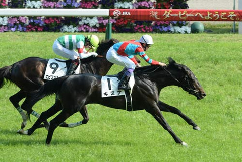 武豊鞍上で日本ダービー勝った馬は種牡馬成功する説