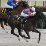 【ユニコーンS】3番人気ラムジェットが直線抜け出し快勝!3連勝で重賞初制覇