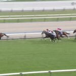 【天皇賞春2024】結果・動画/テーオーロイヤルが長距離王の座に輝く